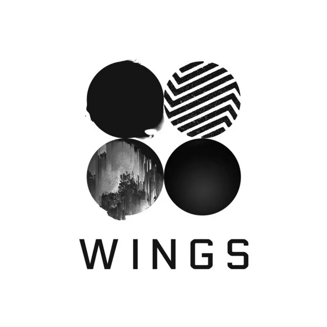 Wings Image