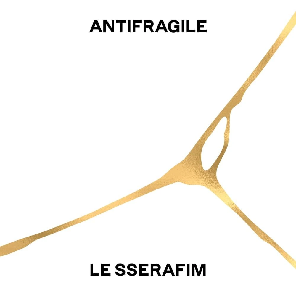 Antifragile Image